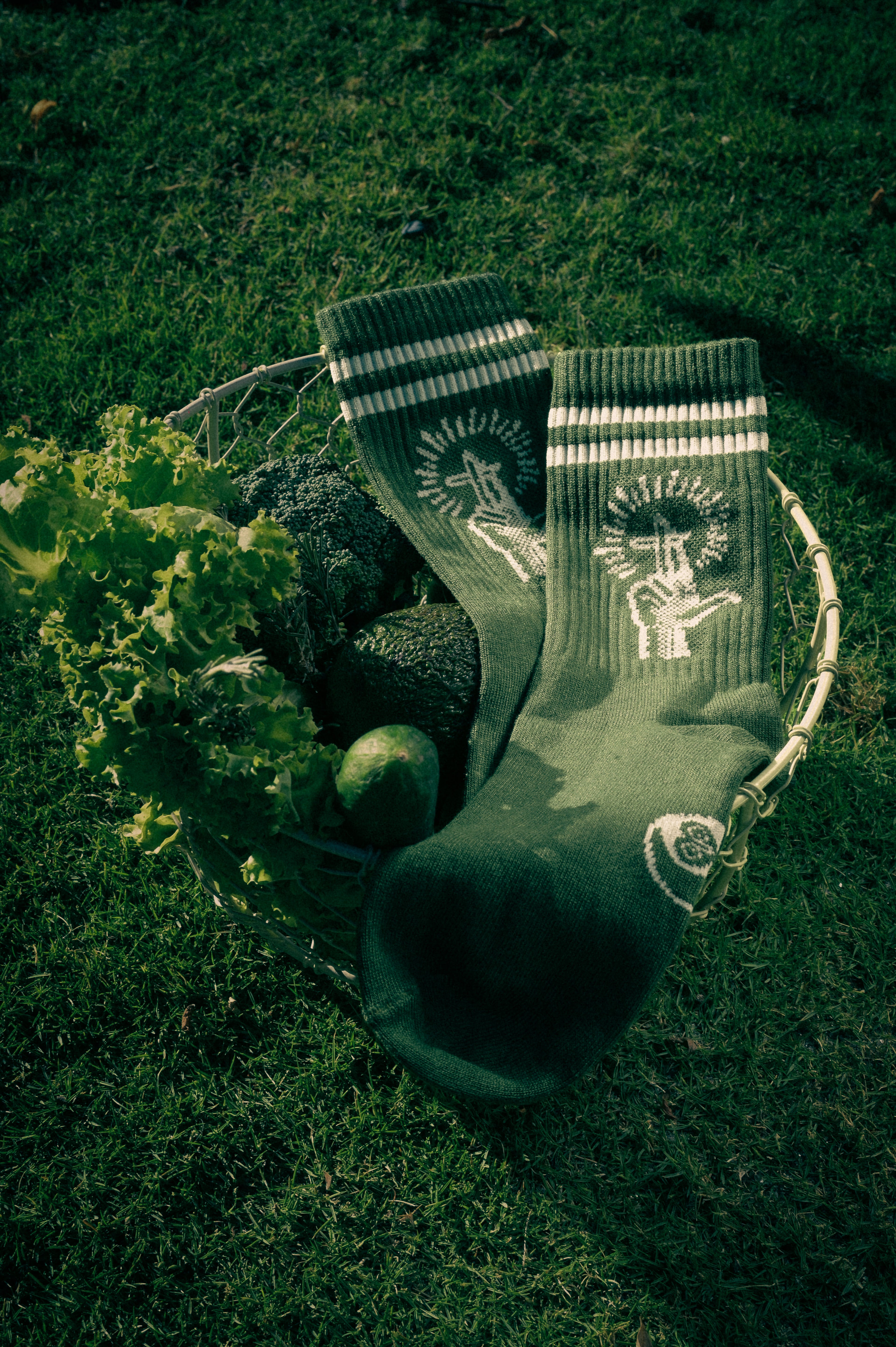 FOREST GREEN CREW SOCKS WITH MOTIF